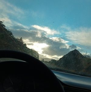 Meet your Posher, Daisy